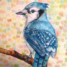 Blue Bird oil pastel